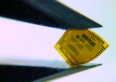 Packaged ICs and Test Chips